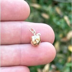 14K Gold Plated Necklace with Bronze Apple Charm